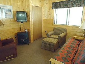 Cedar Rapids Lodge Cabin 11 living room with TV